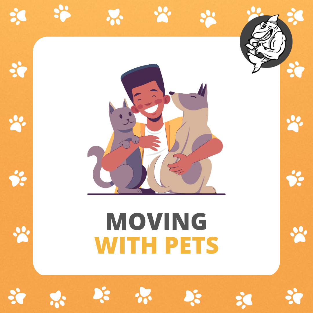 Moving with pets: Making it easy for our Furry Family Members