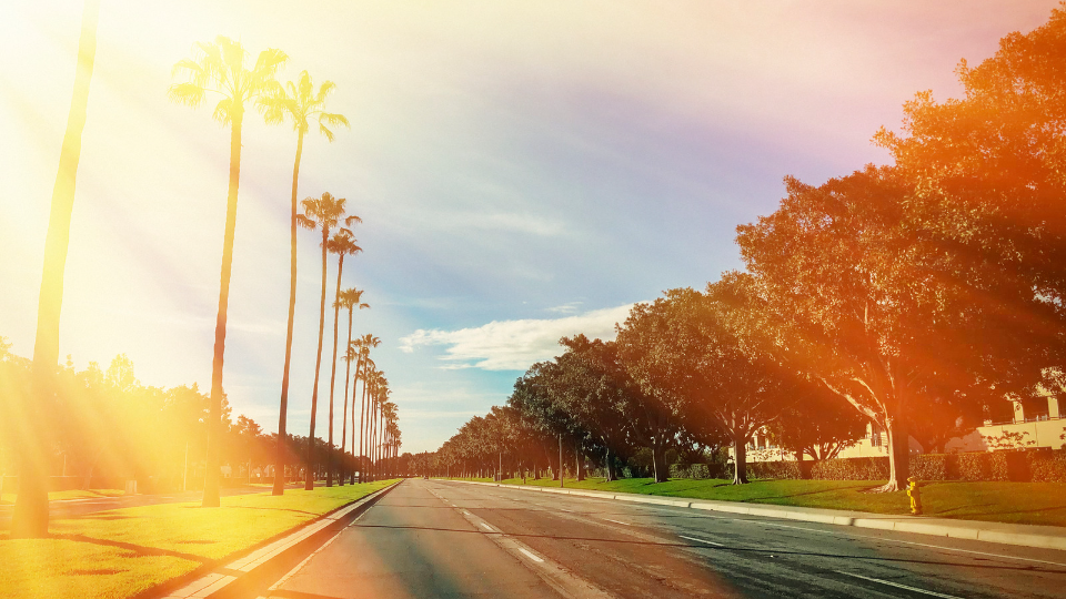 a picture of a carlsbad road
