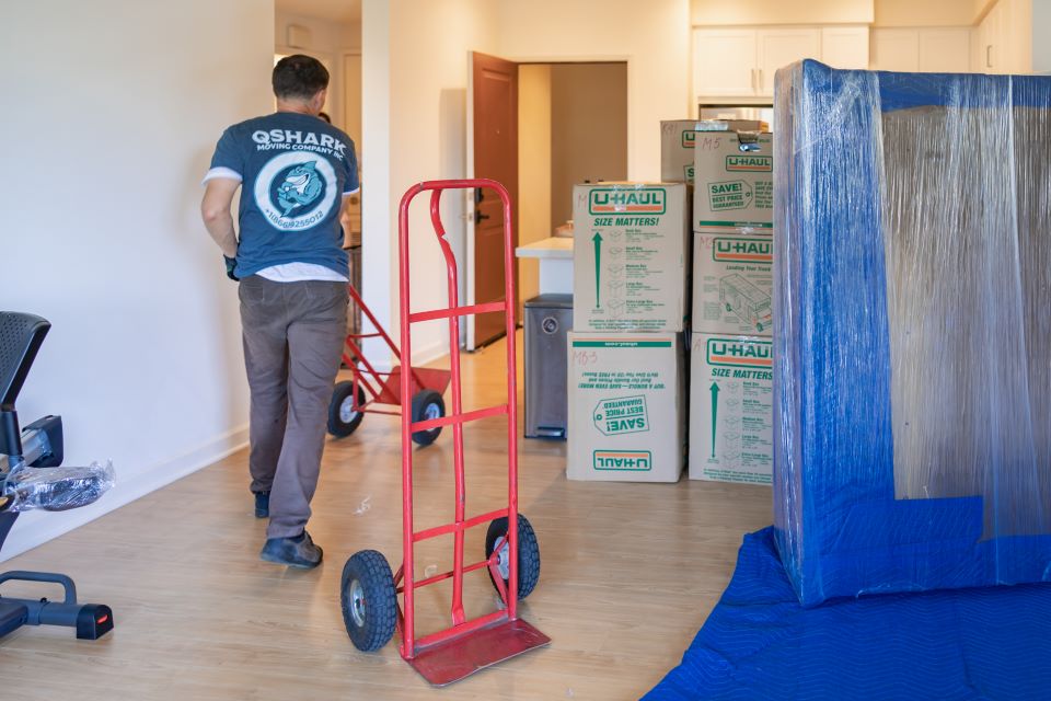 a picture of san diego movers loading boxes