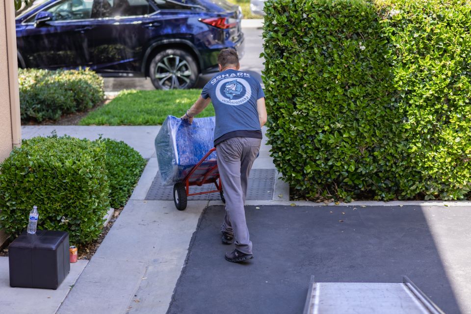 qshark movers moving furniture