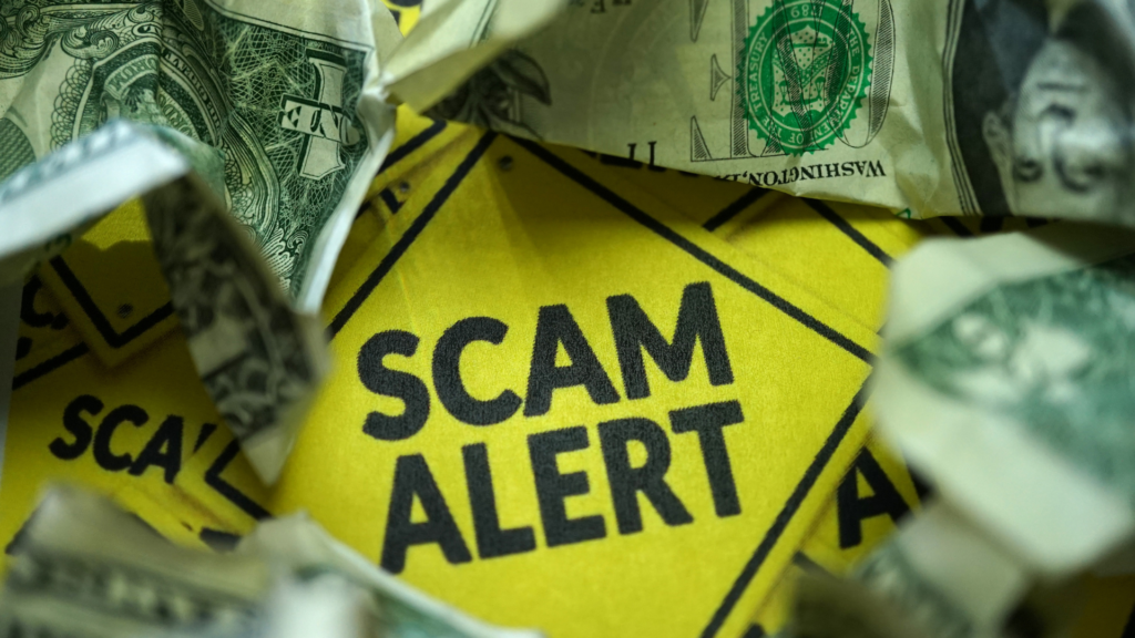 impact of moving scams