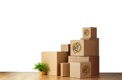 Packing services with moving boxes staged and ready for transport