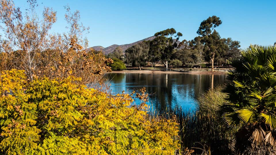 Why Fall is a Great Time to Move to San Diego