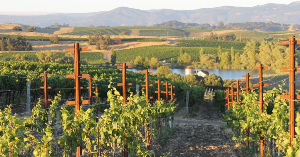 Carmel Valley: Your In-Depth Neighborhood Guide