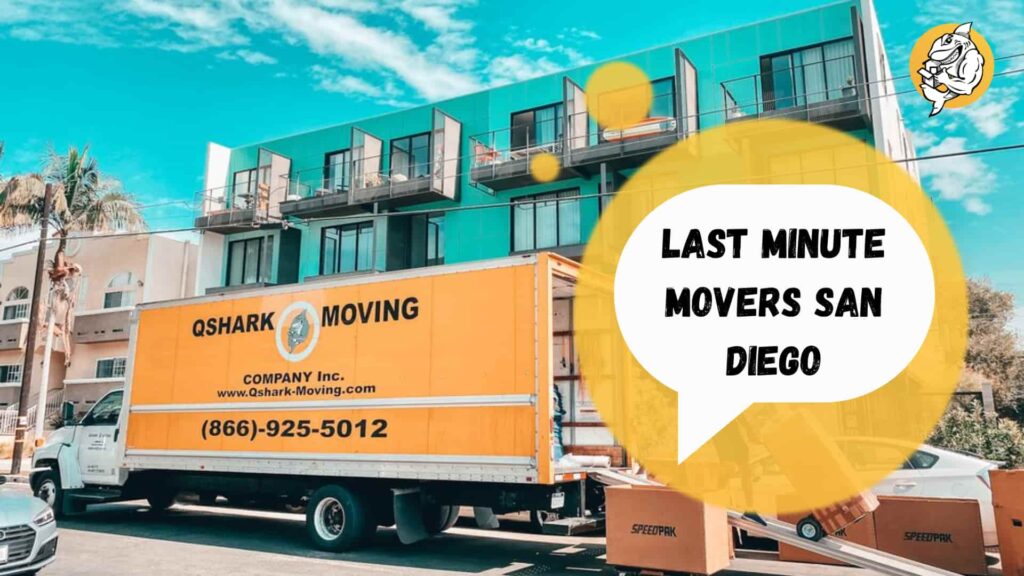 Last Minute San Diego Movers