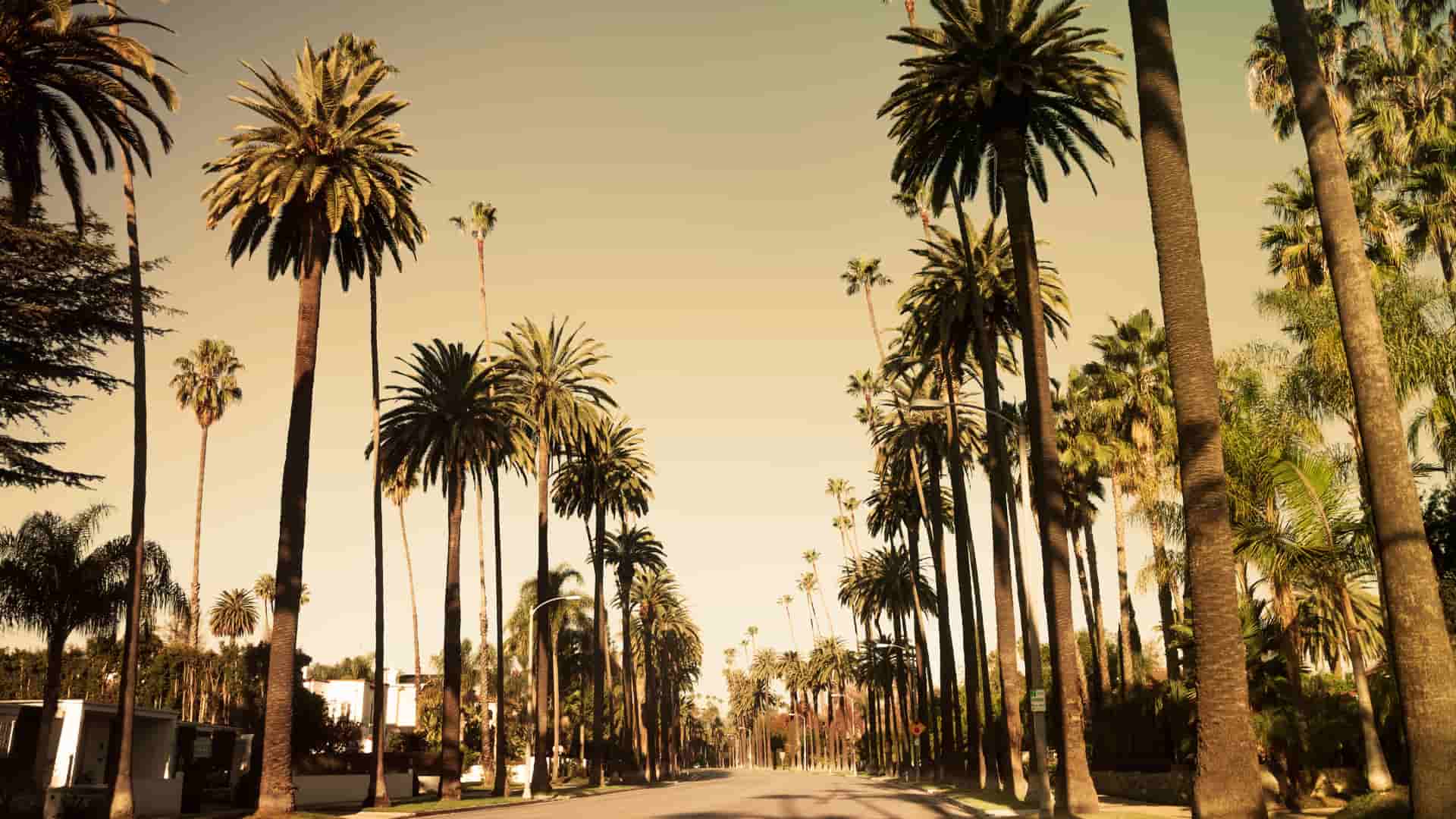 Beverly Hills Movers