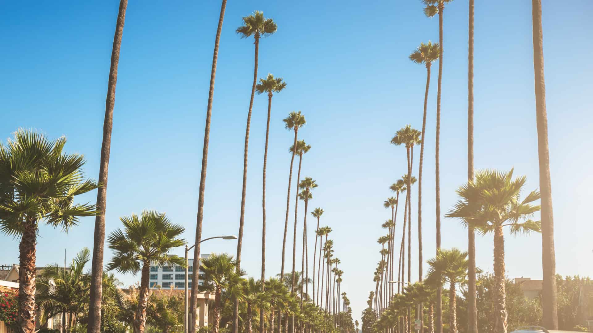 a picture of sunset blvd in West Hollywood